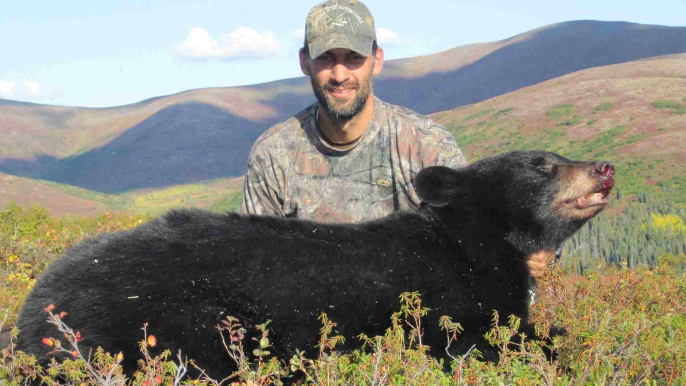Alaska Brown Bear Hunting